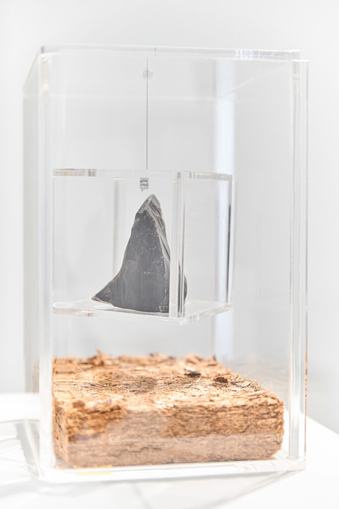 Miguel Palma MNAC ©Guillaume Vieira 13