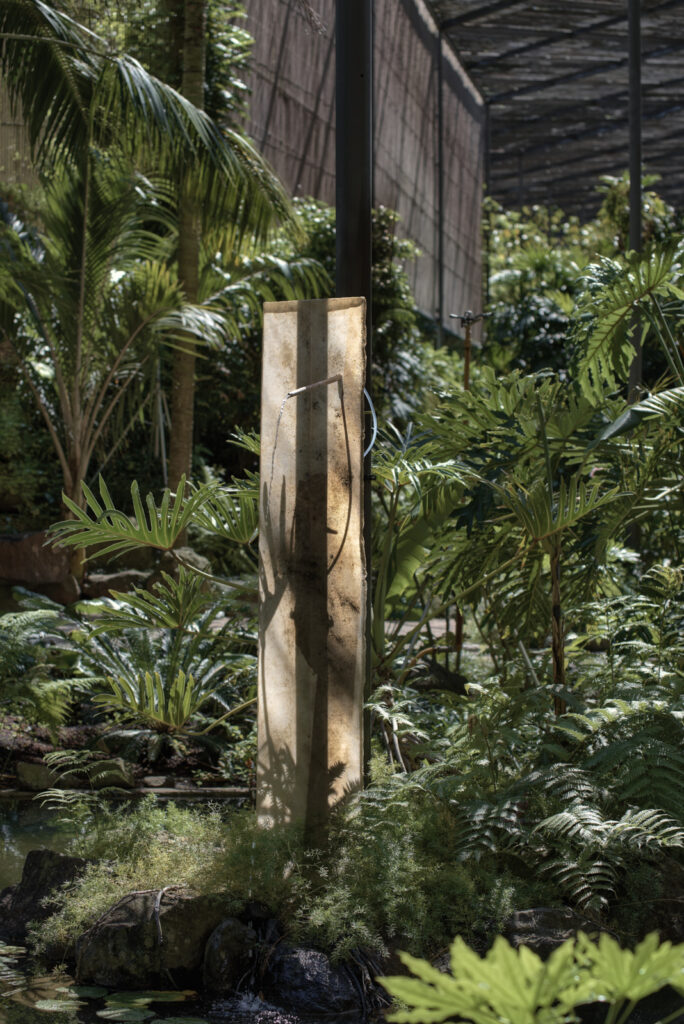 2024.05.27 SENA goncalo Estufa Fria 00 27