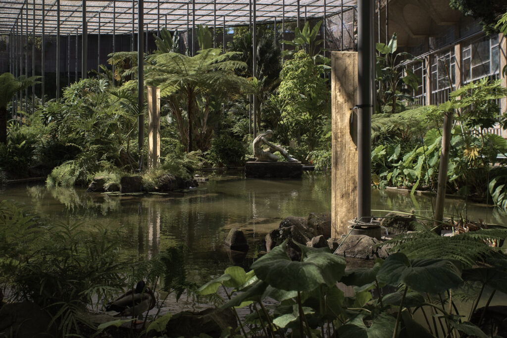 2024.05.27 SENA goncalo Estufa Fria 00 42